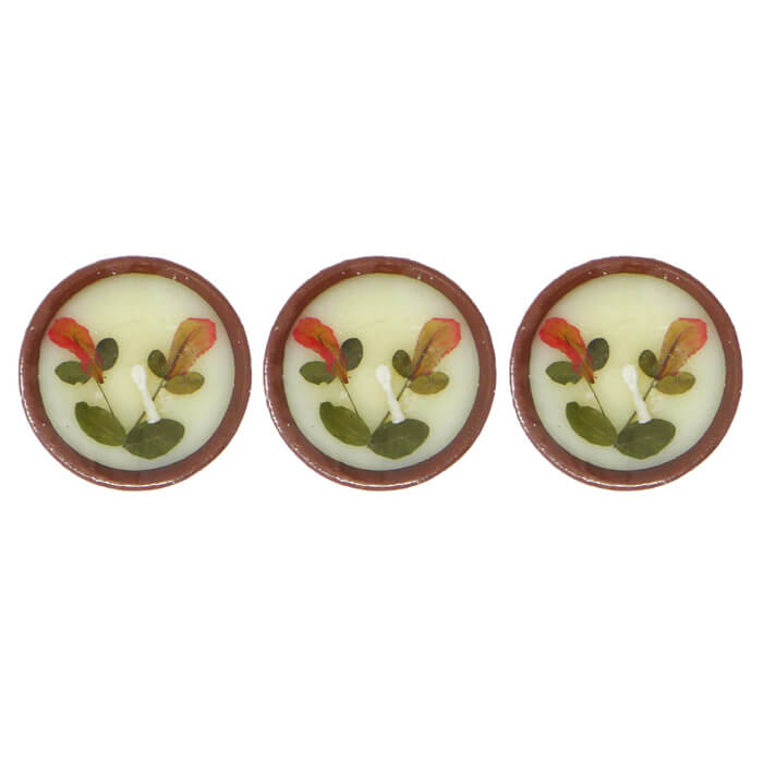 Soy wax Candles