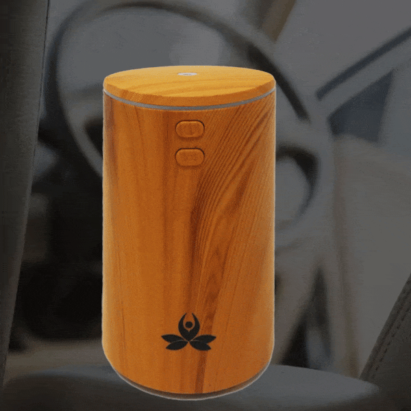 USB Car Diffuser (MANAM)