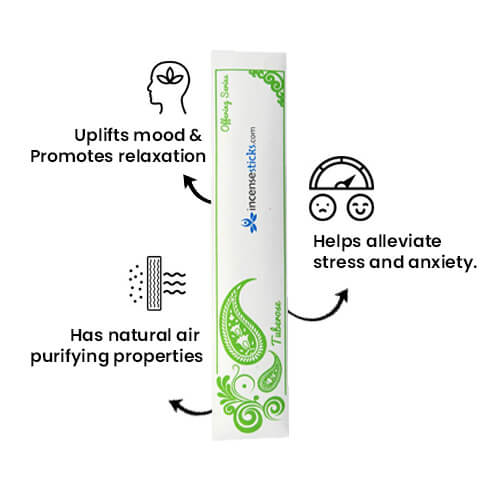 Tuberose Incense 10" 20 Sticks