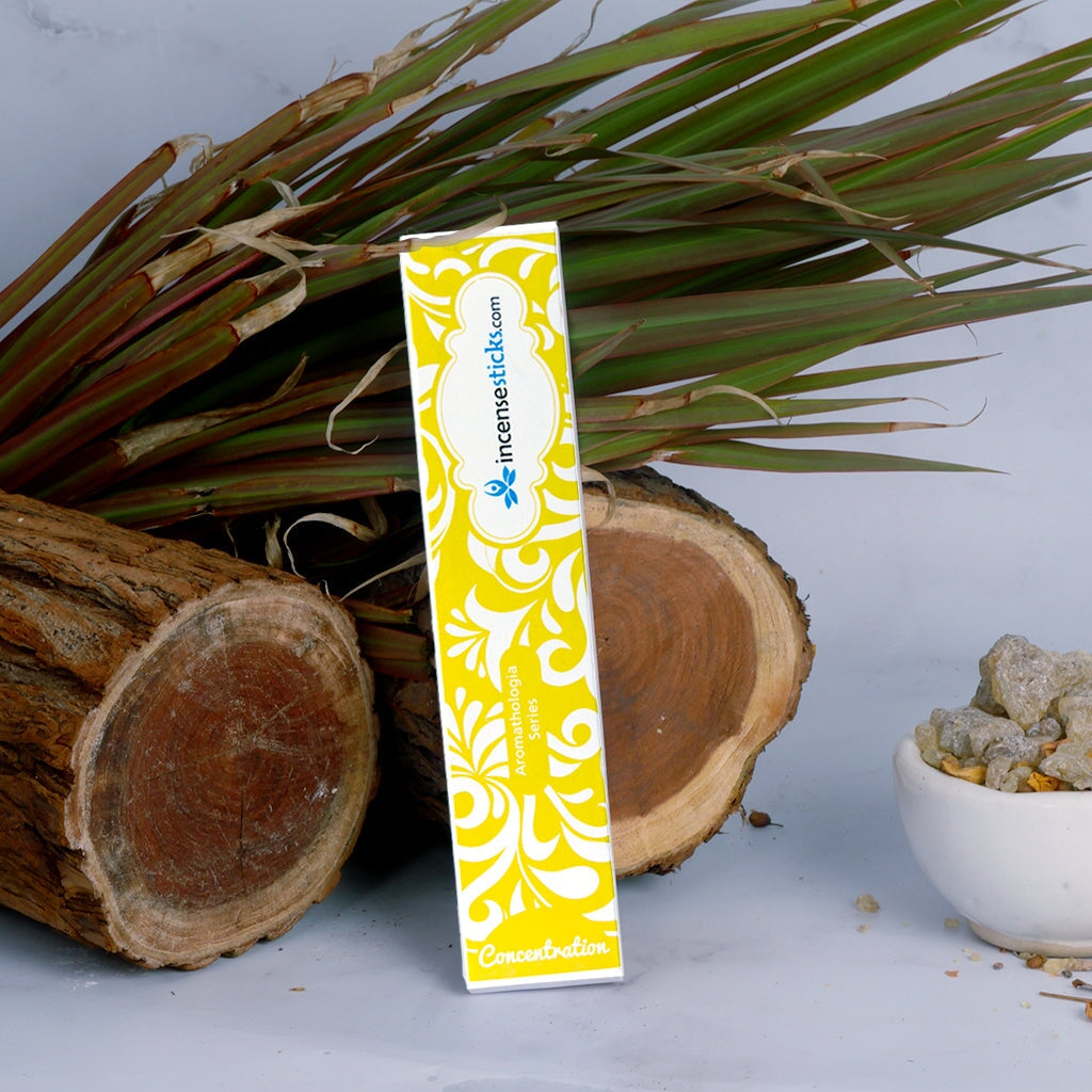 Concentration Incense 8" 12 Sticks Aromatologia Incense Sticks 1 Pack