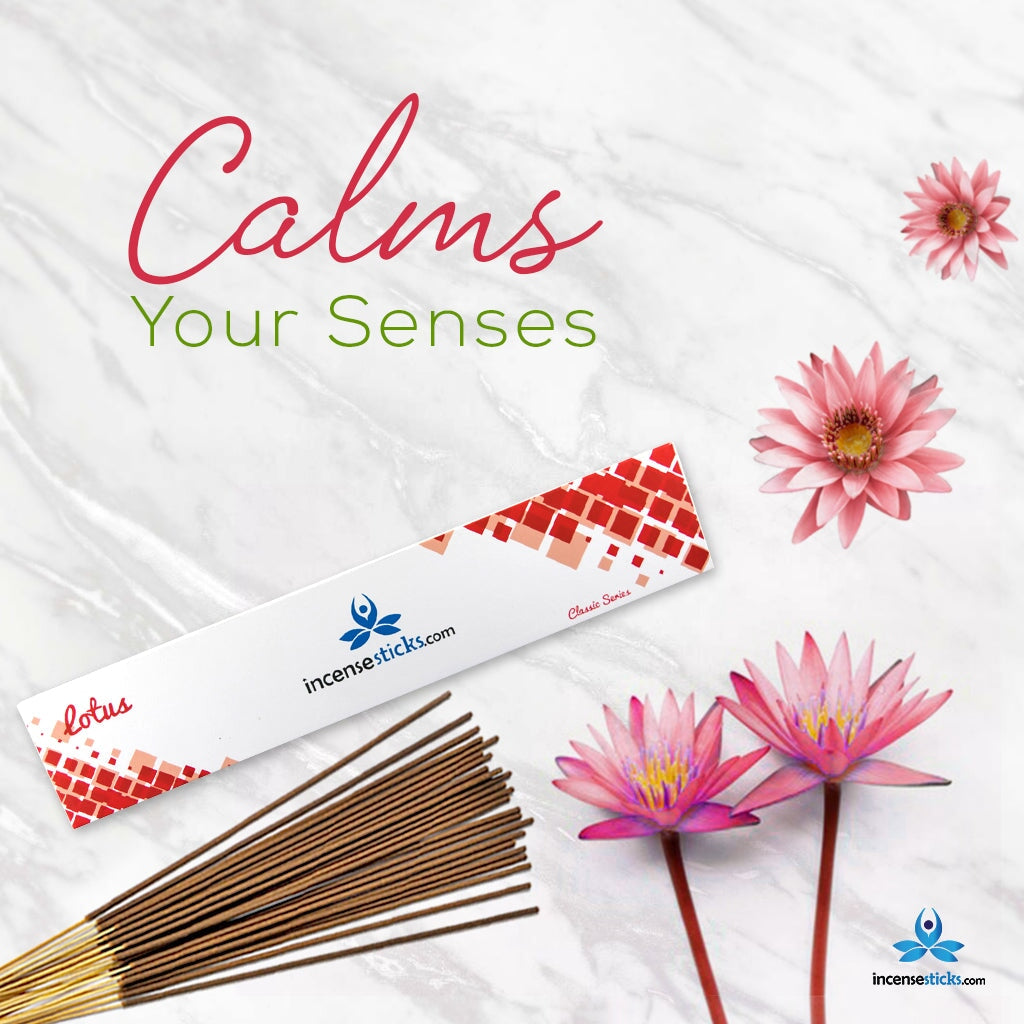 Lotus Incense 10" inch 12 Sticks classic incense 1 Pack