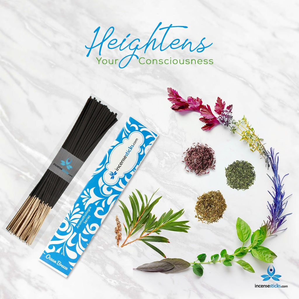 Ocean Breeze Incense 8" 12 Sticks Aromatologia Incense Sticks