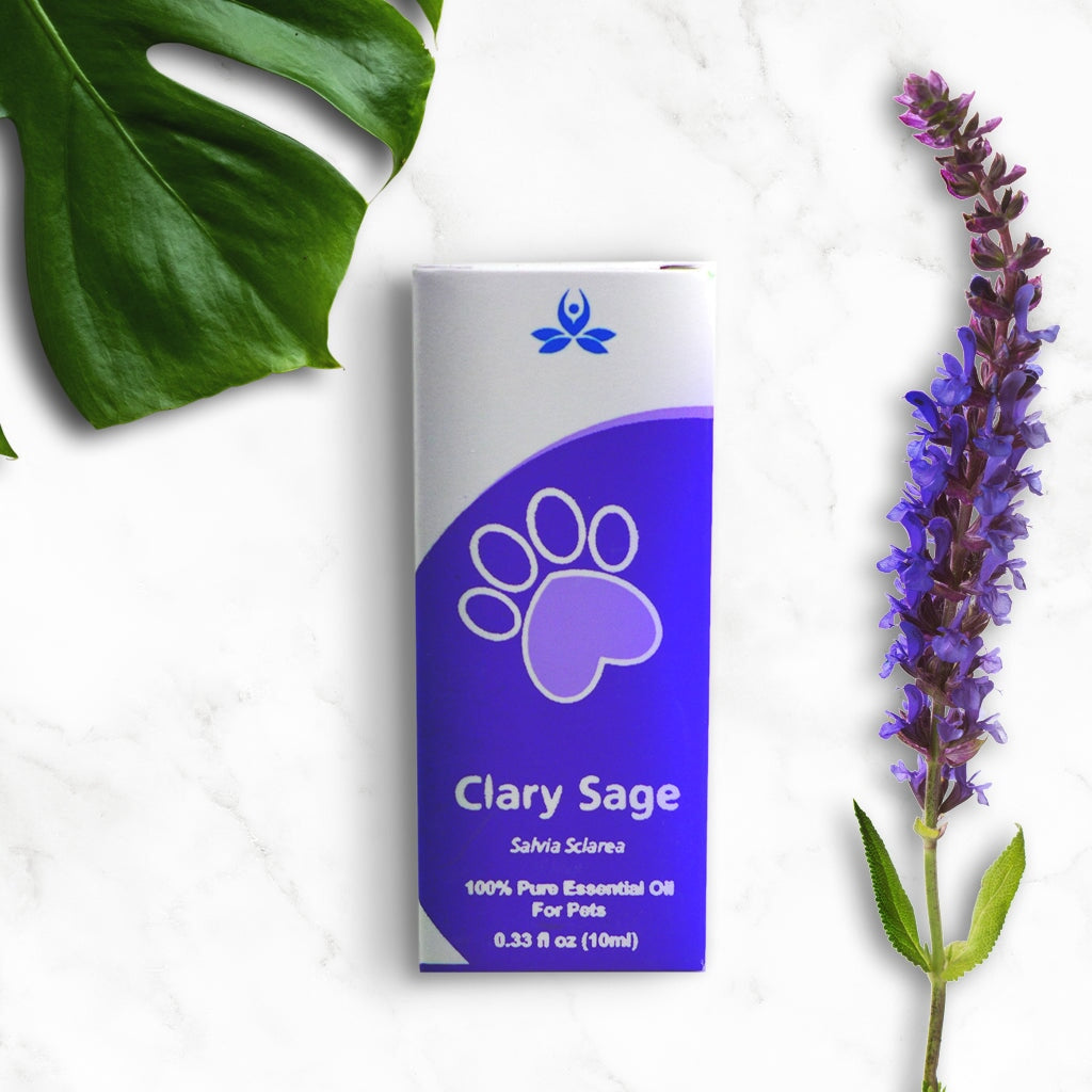 Pet Clary Sage Essential Oil Pet Essential oil 