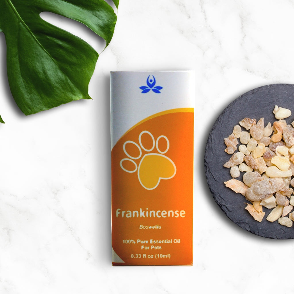 Pet Frankincense Essential Oil Pet Essential oil 