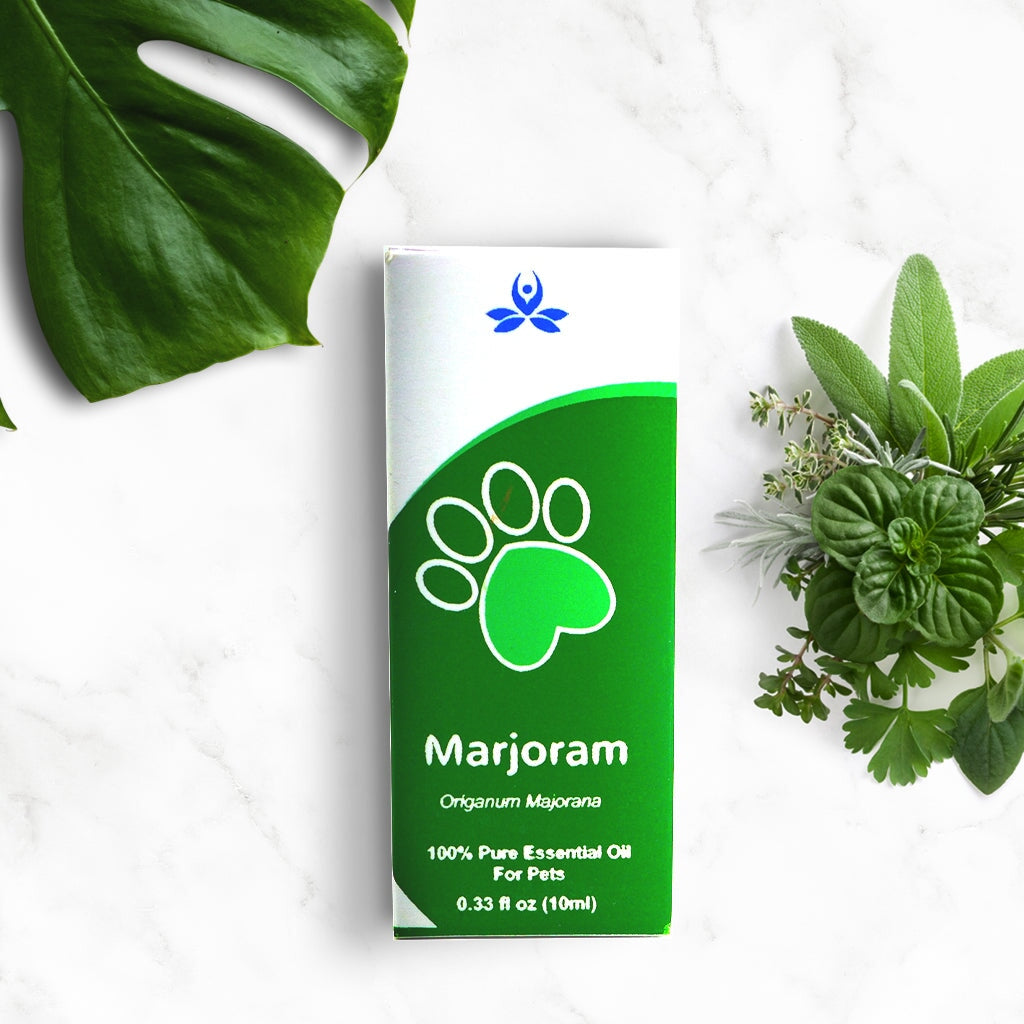 Pet Marjoram Essential Oil Pet Essential oil