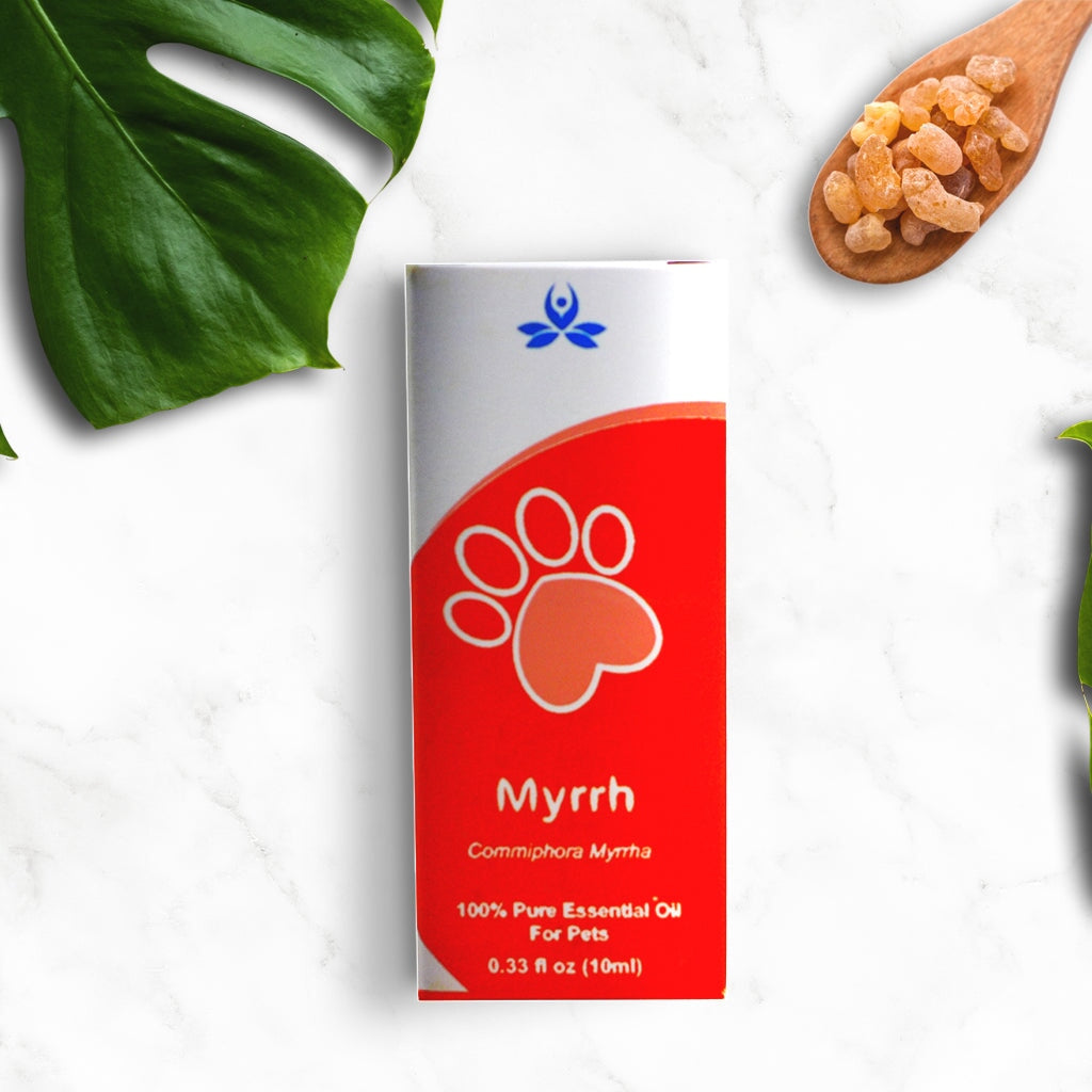 Pet Myrrh Essential Oil Pet Essential oil 