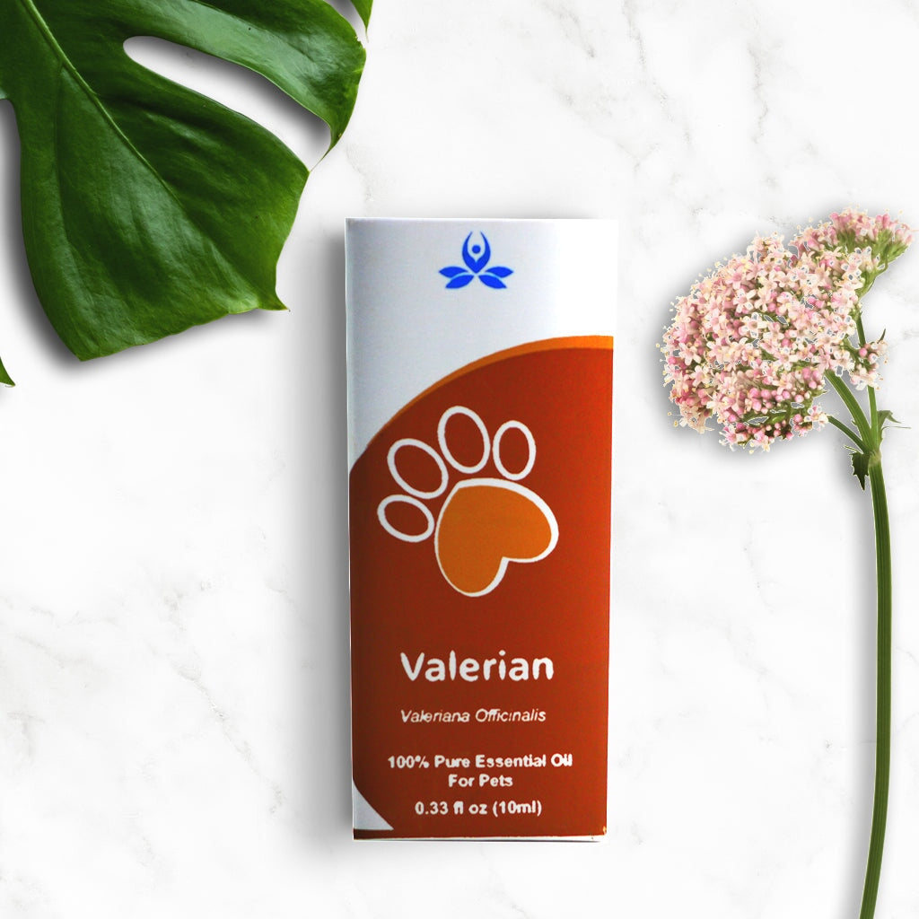 Pet Valerian Essential Oil Pet Essential oil 