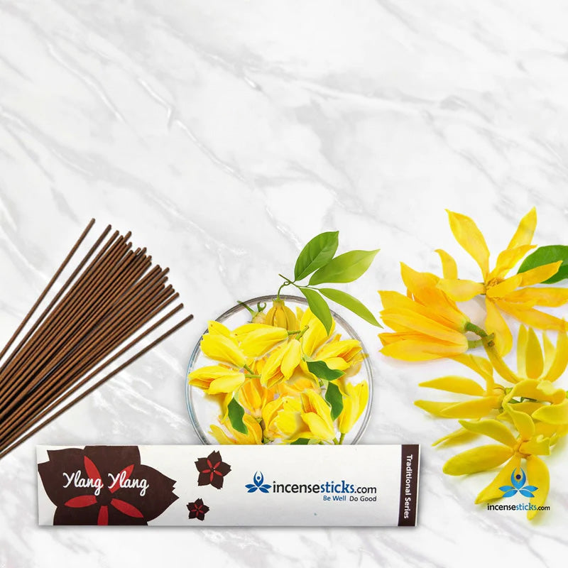 Ylang Ylang Incense 8" 10 Sticks