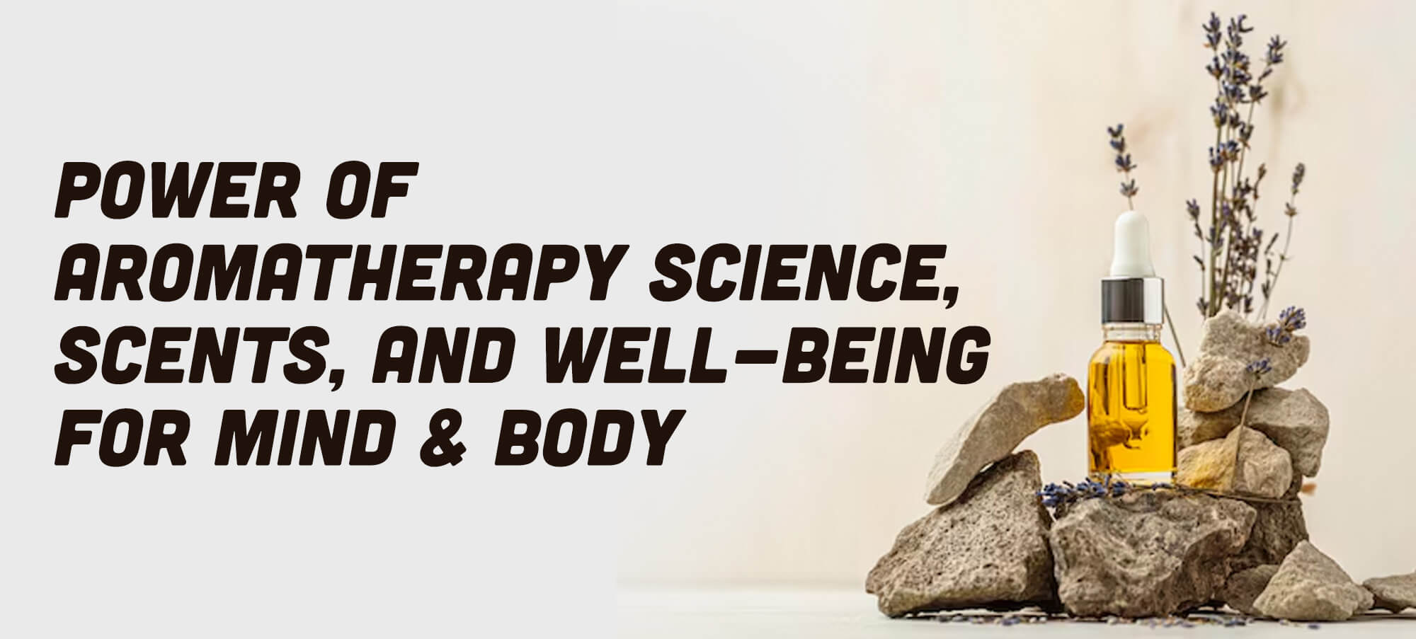 Science Behind Aromatherapy For Body & Mind