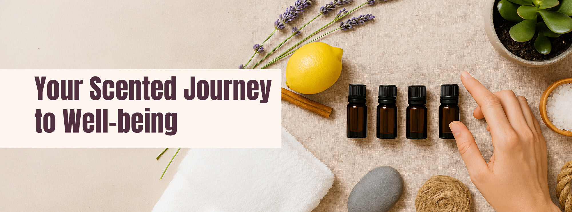 Scent-driven wellness habits with Incensesticks