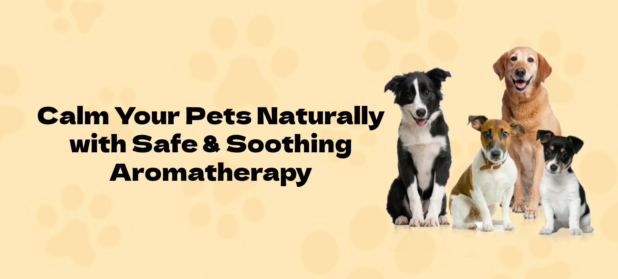 Calm Your Pets Naturally With Aromatherapy