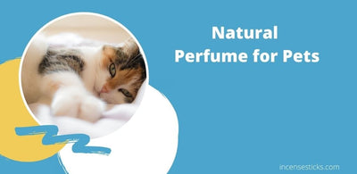 Natural Perfumes For Pets