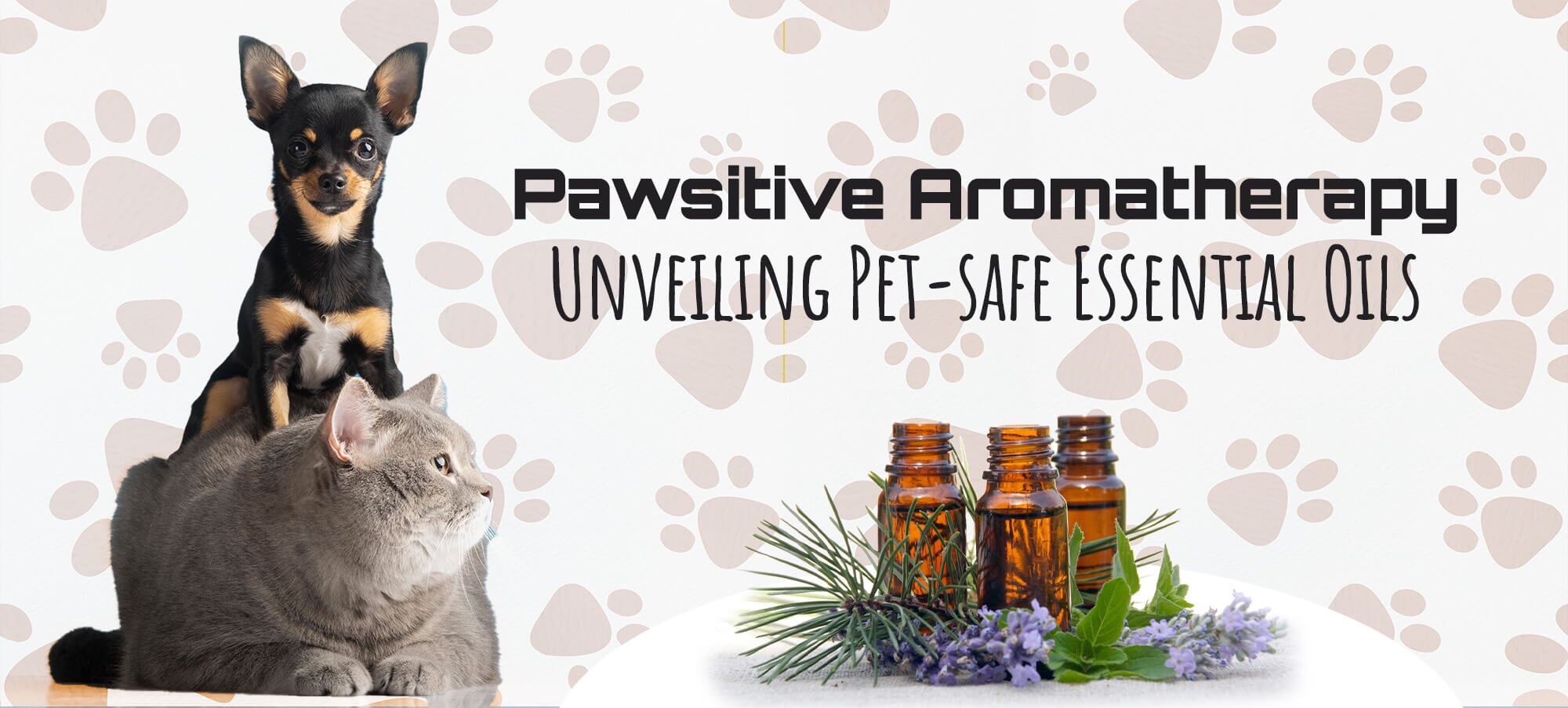 Pet-Friendly Essential oils , What's Safe & What's Not