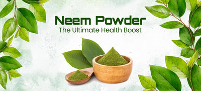 Unlock the Incredible Benefits of Neem Powder for a Healthier You