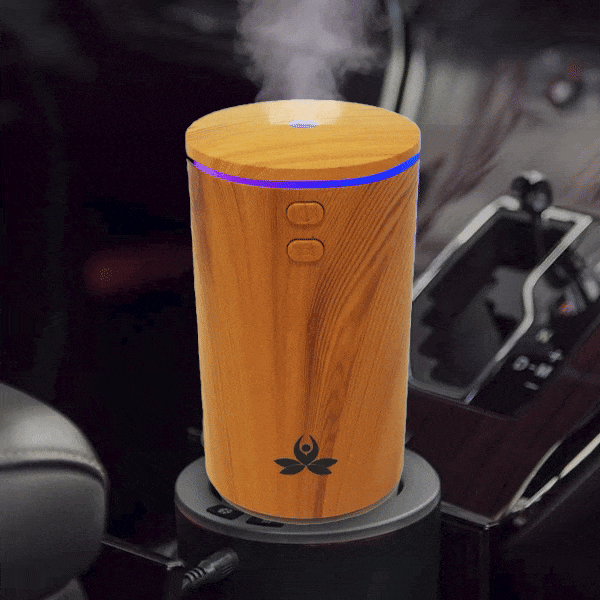 🎁 USB Car Diffuser (MANAM) (100% off)