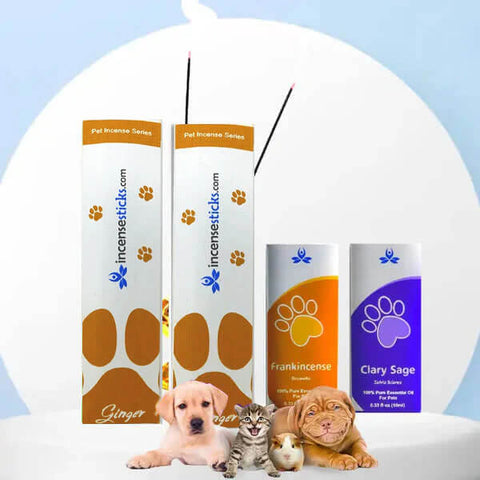 Pet wellness gift set