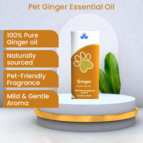 Pet Ginger Essential Oil