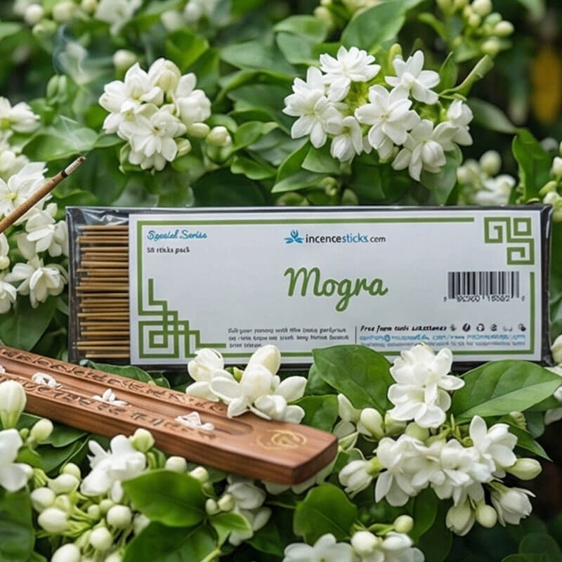 Mogra Incense  8" 50 Sticks