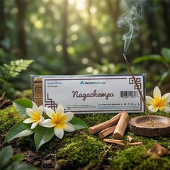 Nag champa Incense  8" 50 Sticks