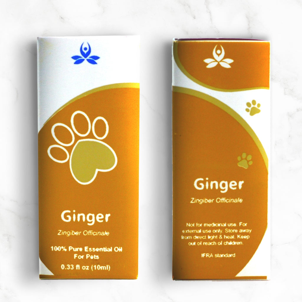 Pet Ginger Essential Oil Pet Essential oil 