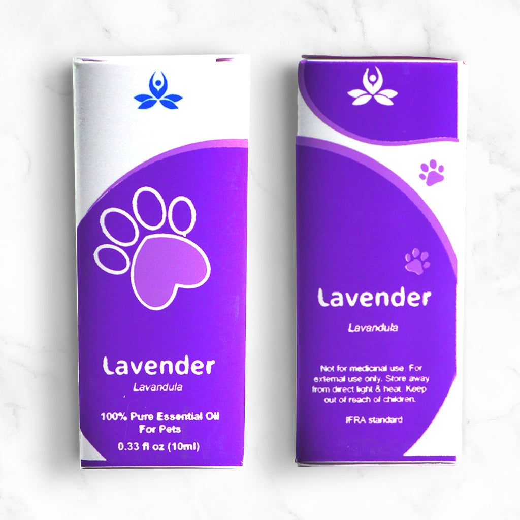 Lavender oil for on sale dogs