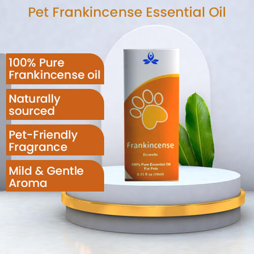 Pet Frankincense Essential Oil