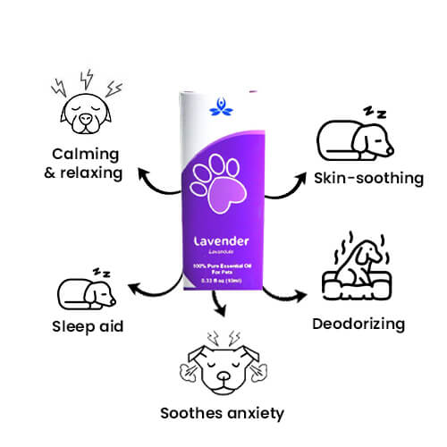 Pet Lavender Essential Oil