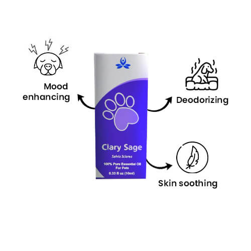 Pet Clary Sage Essential Oil