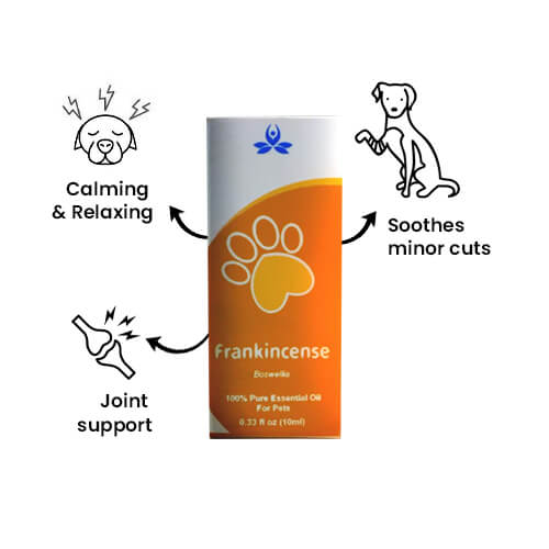 Pet Frankincense Essential Oil